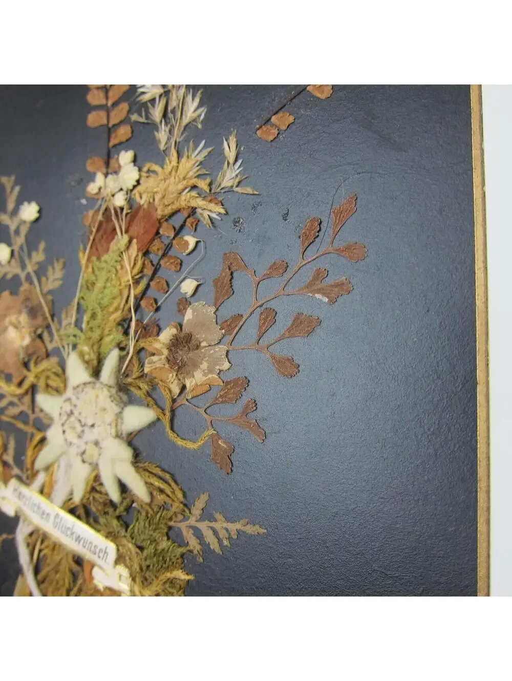 Victorian Greeting Card Pressed Flowers White Dove Bird Congrats German Antique